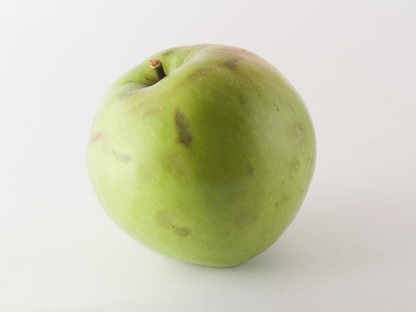 Pomme à cidre acide : Gezamina