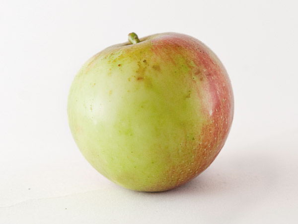 Manzana para la elaboración de la sidra: Moko