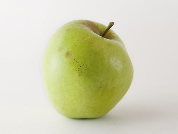 Pomme à cidre : Mozolua