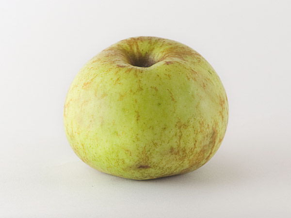 Manzana de sidra de la cual se obtiene sidra: Patzolua