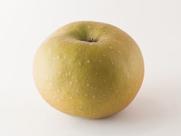Pomme à cidre : Udare marroi
