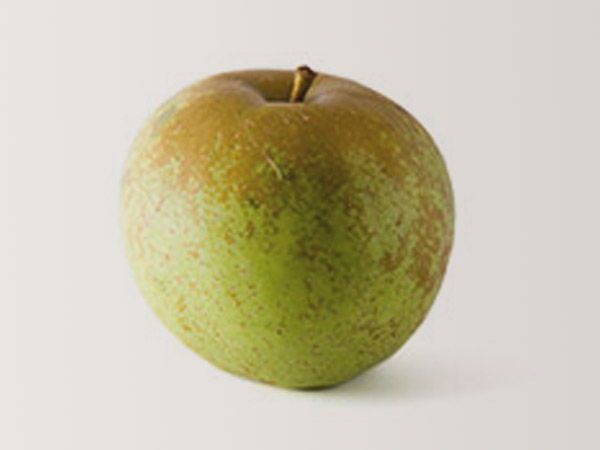 Good apple for making cider: Verde Agria