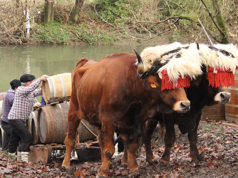 El bautismo de agua